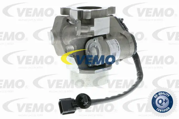EGR Valve