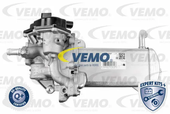 EGR Valve