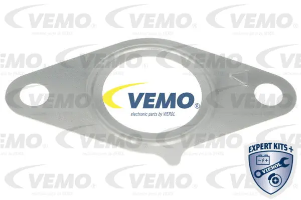 Gasket, EGR valve