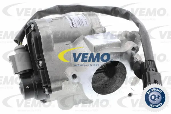 EGR Valve