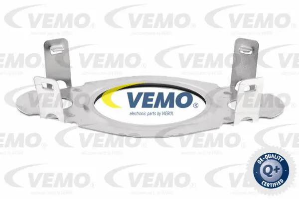 Gasket, EGR valve