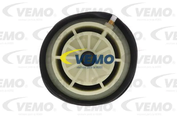 Air Suspension Strut