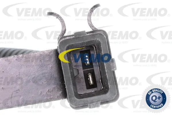 Knock Sensor