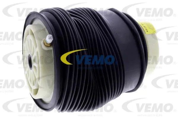Air Suspension Strut