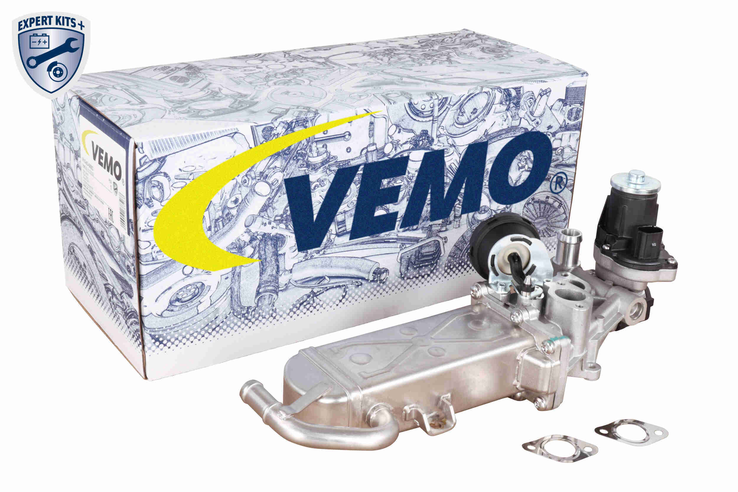 EGR Valve