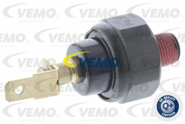 Oil Pressure Switch