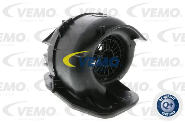 Interior Blower