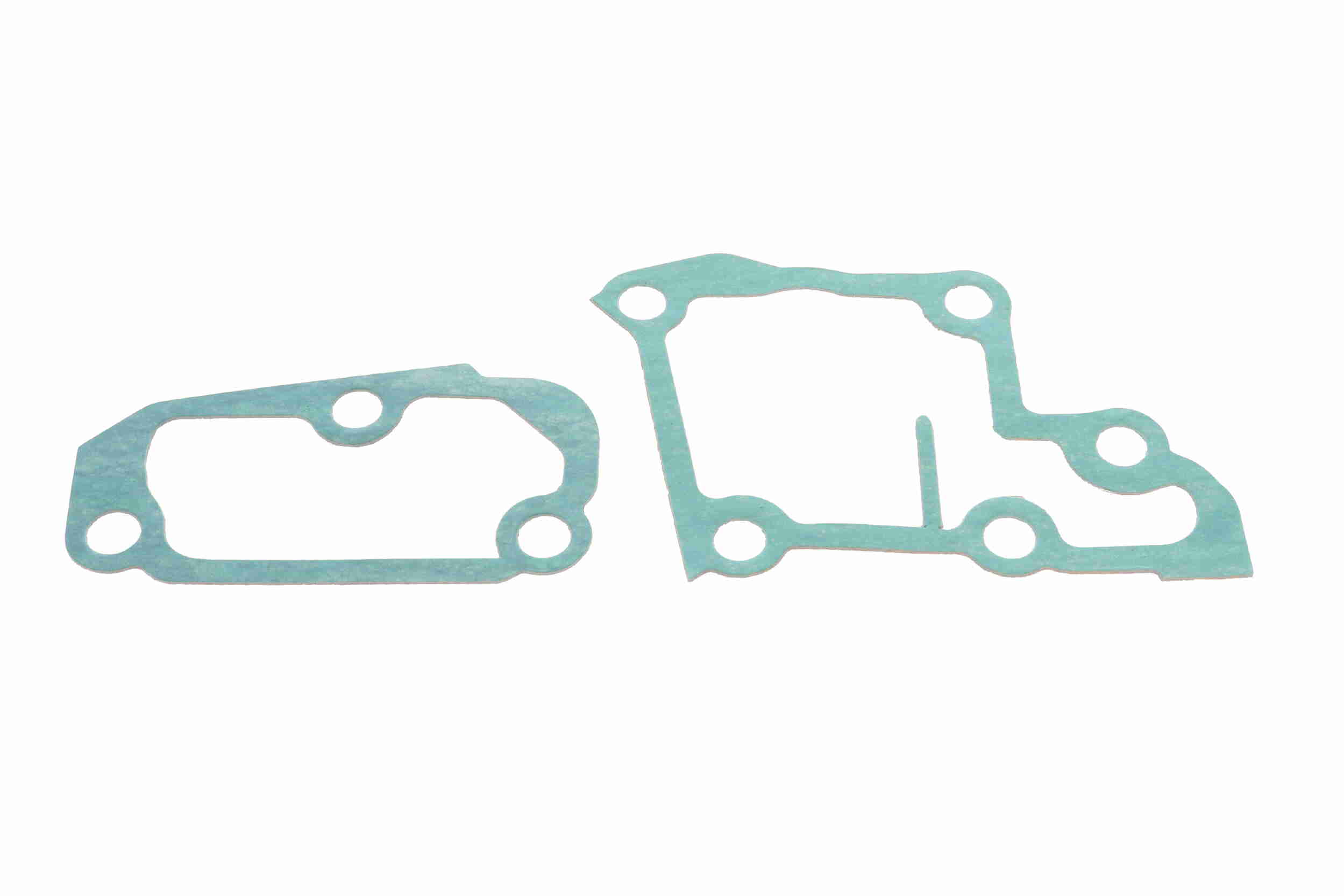 Gasket, thermostat housing
