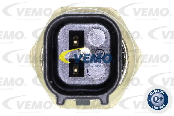 Oil Pressure Switch