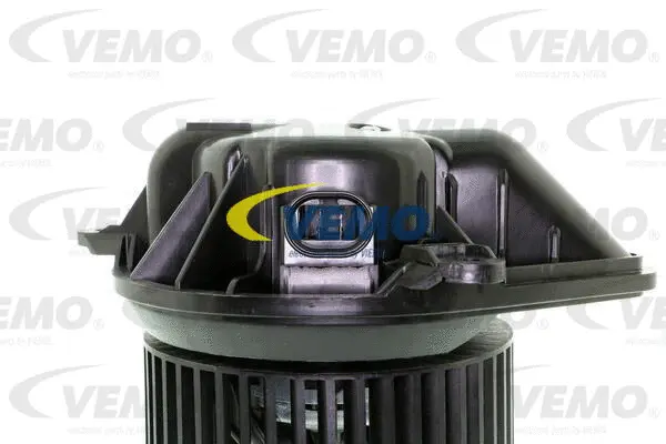 Interior Blower