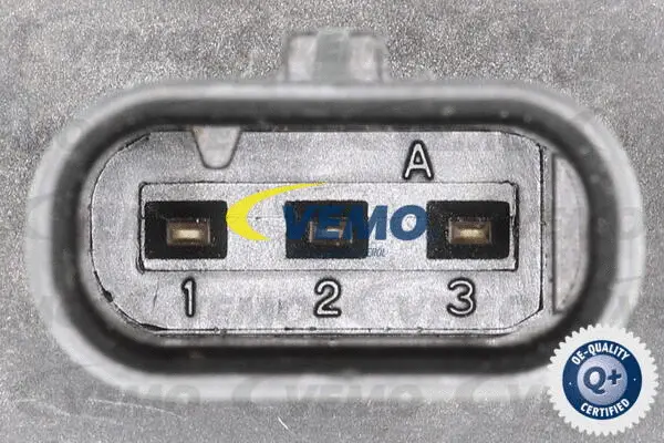 Sensor, exhaust pressure