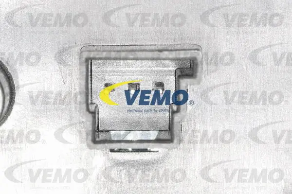 Switch, window regulator
