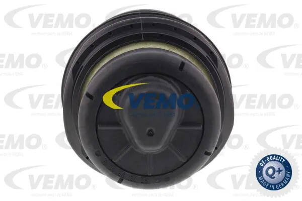 Air Suspension Strut