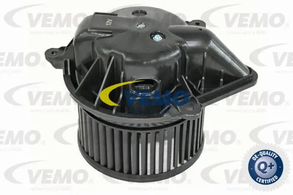 Interior Blower