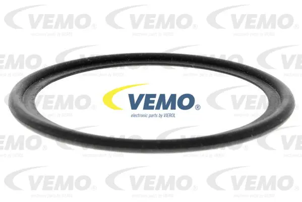 Oil Cooler, automatic transmission