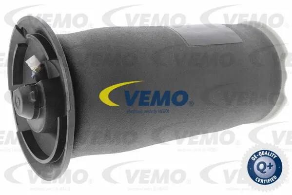 Air Suspension Strut