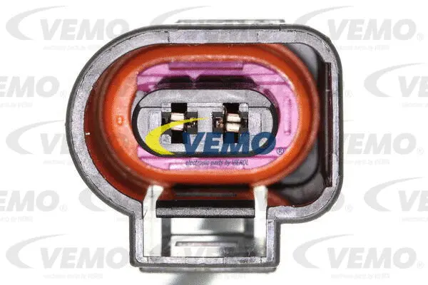 Switch, tailgate release