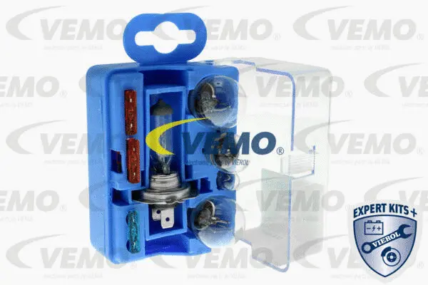 Bulbs Assortment (V99-84-0019)