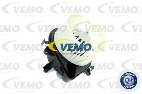 Interior Blower