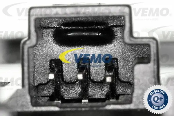 Switch, window regulator