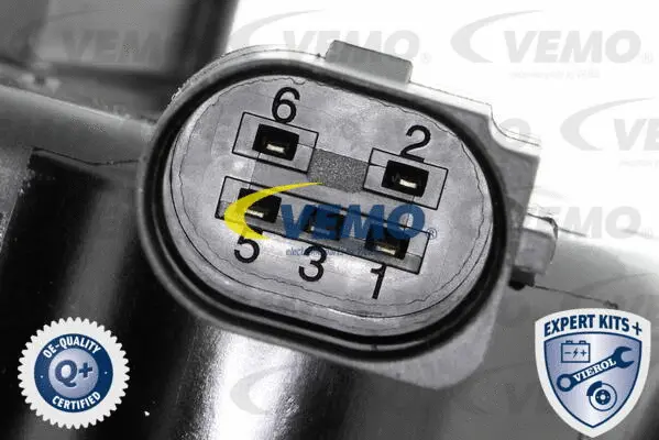 EGR Valve