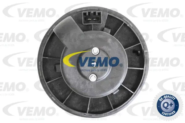 Interior Blower