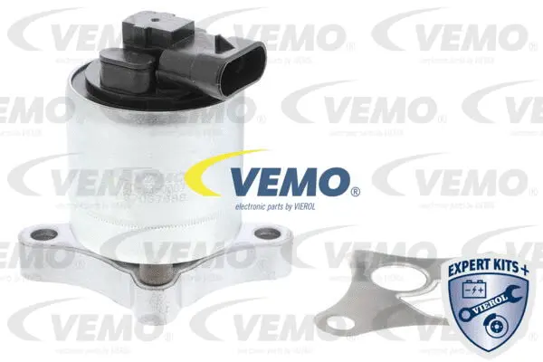 Valve, exhaust gas recirculation