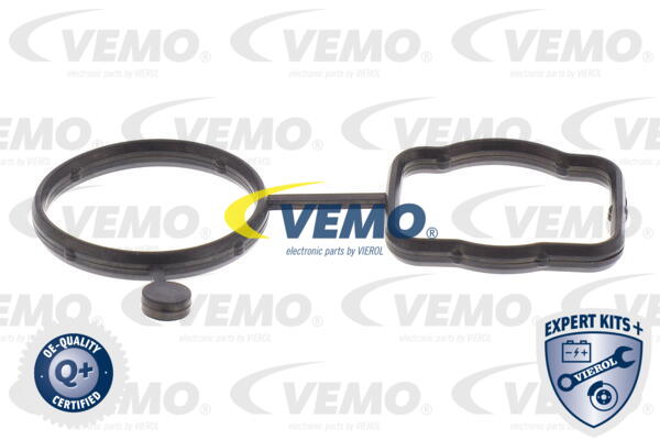 Repair Kit, water pump