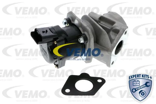 EGR Valve
