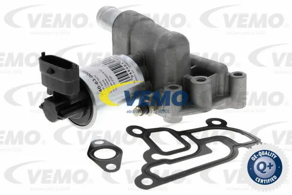 EGR Valve
