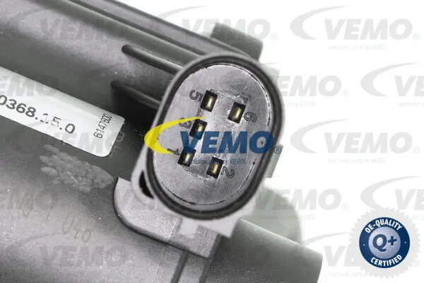 EGR Valve