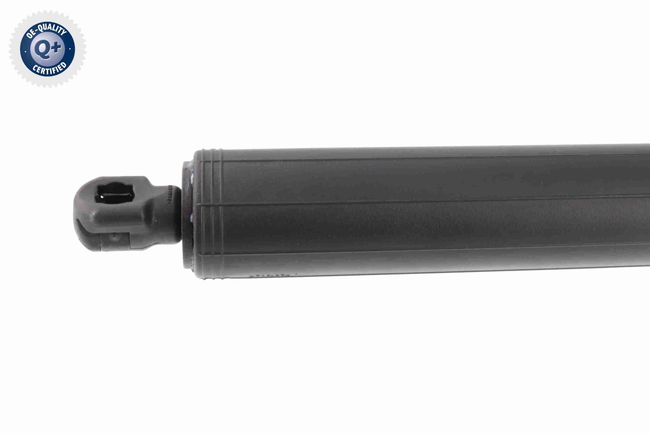 Electric Motor, tailgate