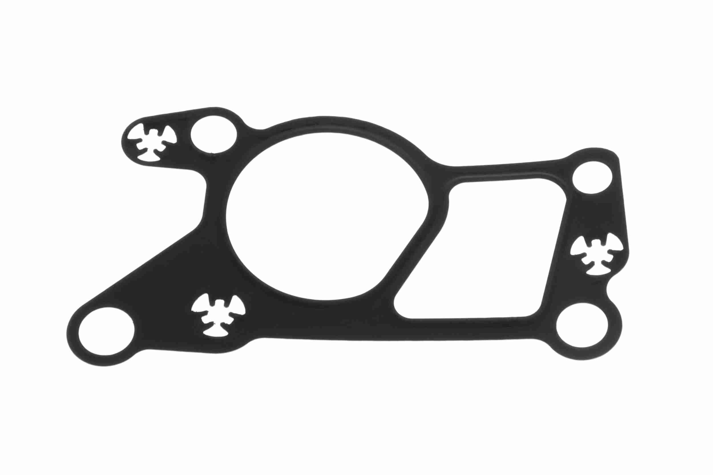 Gasket, EGR valve