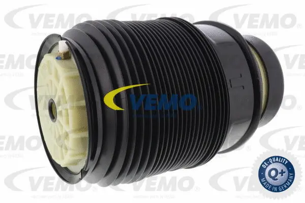 Air Suspension Strut