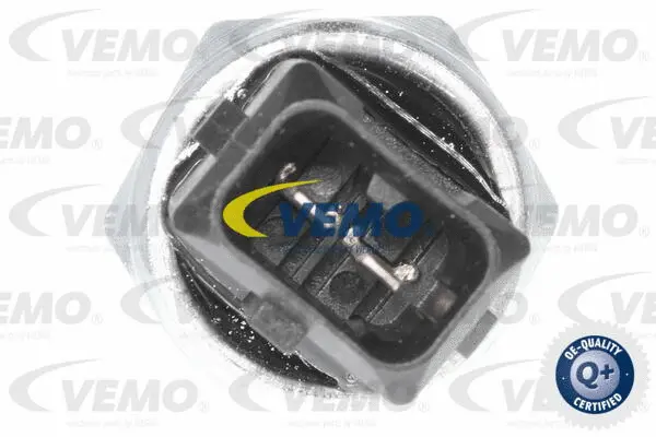 Oil Pressure Switch