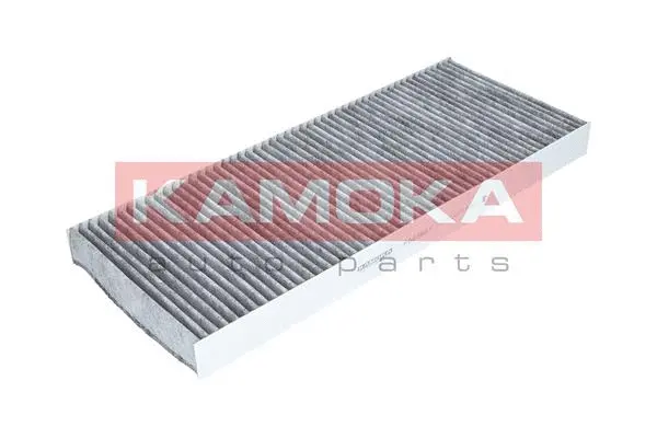 Filter, cabin air (F503901)
