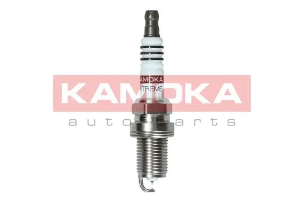 Spark Plug (7100032)