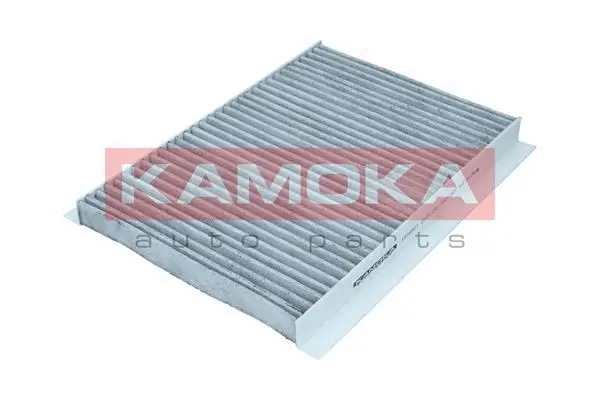 Filter, cabin air (F516501)