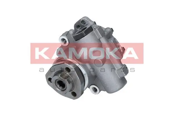Hydraulic Pump, steering (PP200)