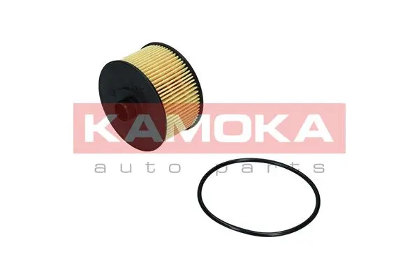 Oil Filter (F116501)