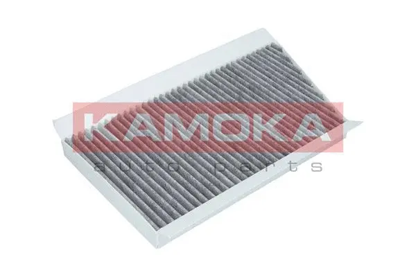Filter, cabin air (F509201)