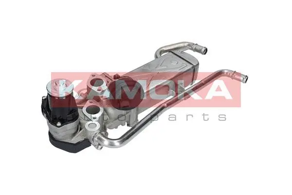 EGR Module