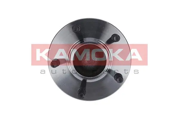Wheel Bearing Kit (5500098)