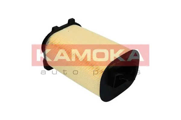 Air Filter (F242501)