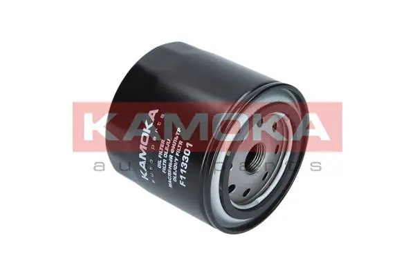 Oil Filter (F113301)