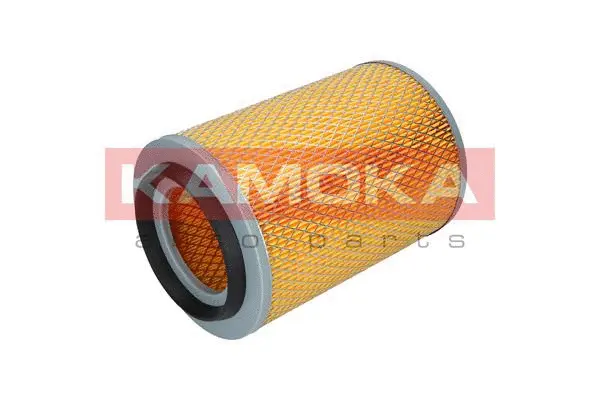 Air Filter (F216201)