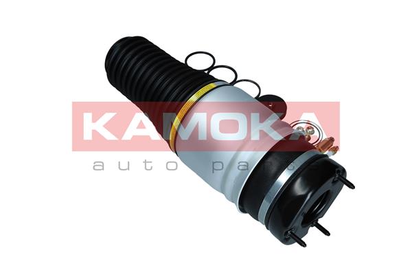 Air Spring, suspension