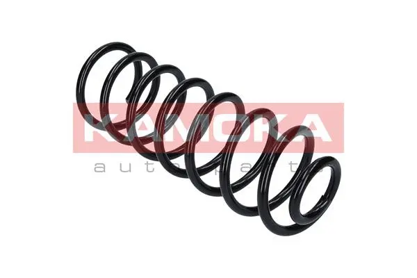 Suspension Spring (2120070)