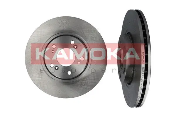 Brake Disc (1031127)