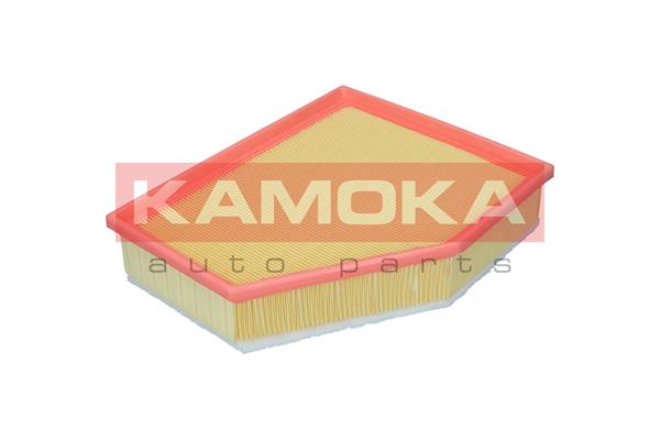 Air Filter (F255701)